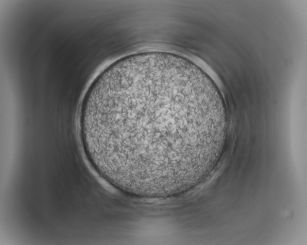 X0000111151005200907141338