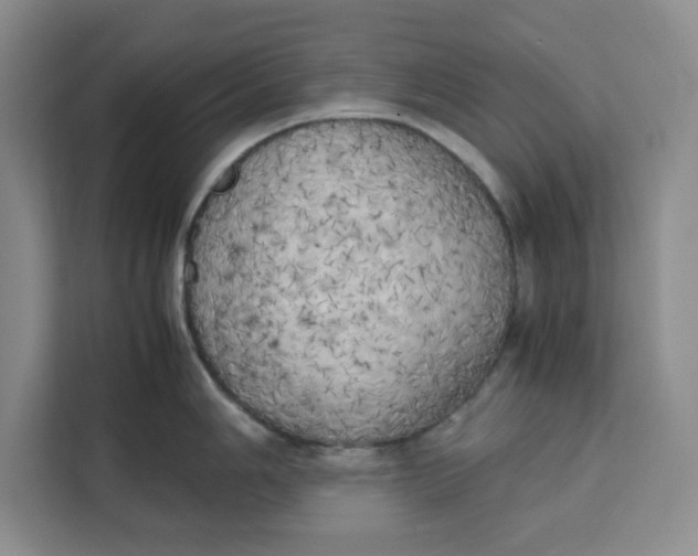 X0000111151006200907141337