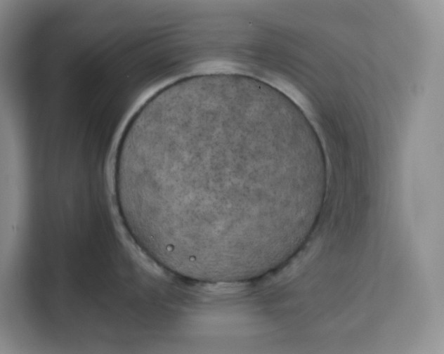 X0000111151008200907141337