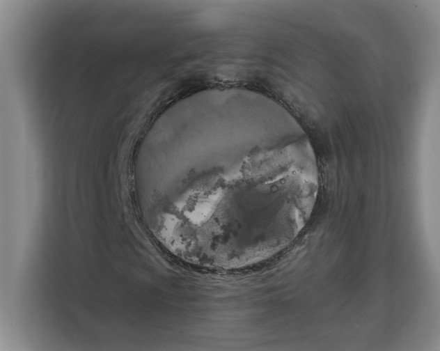 X0000111151009200907141337