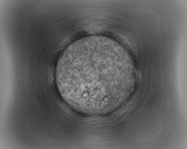 X0000111151012200907141337