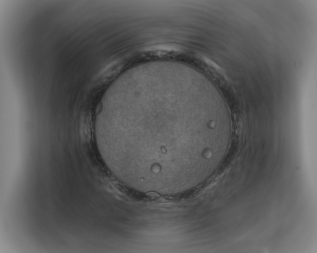 X0000111151014200907141337