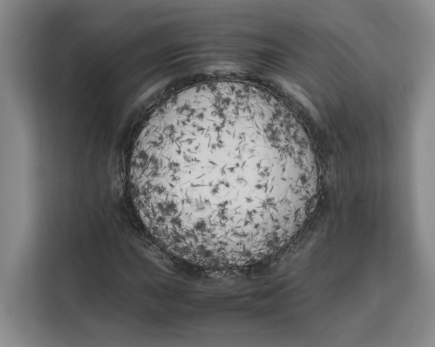 X0000111151015200907141337