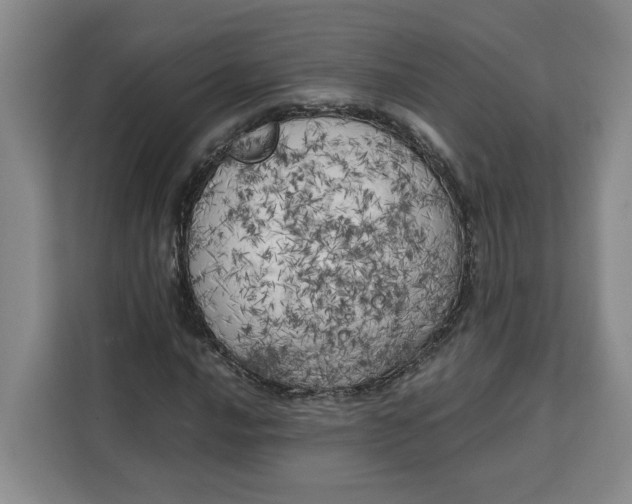 X0000111151016200907141337