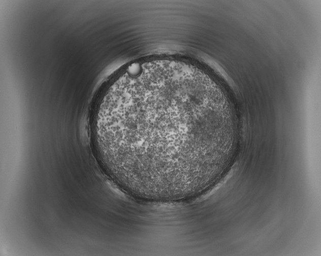 X0000111151018200907141337