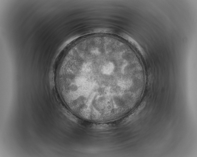 X0000111151019200907141337