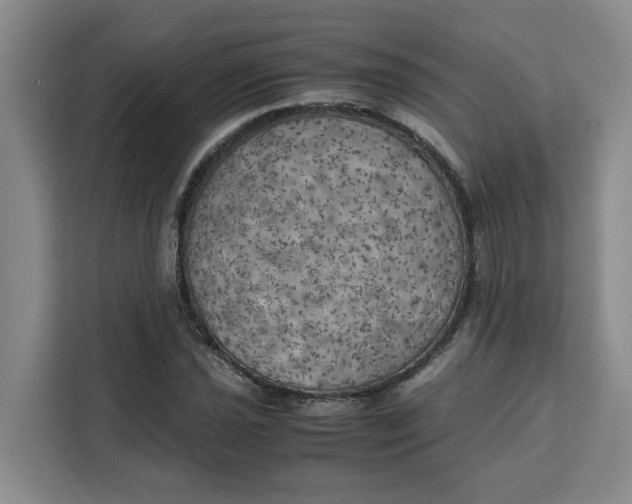 X0000111151021200907141337