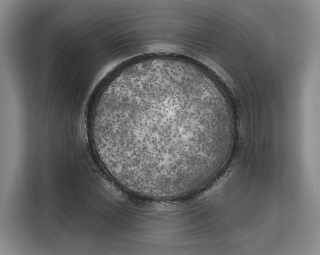 X0000111151022200907141337