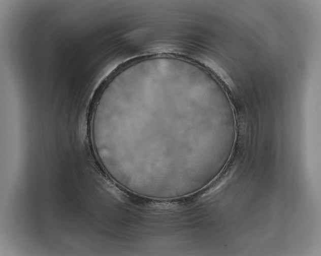 X0000111151023200907141337