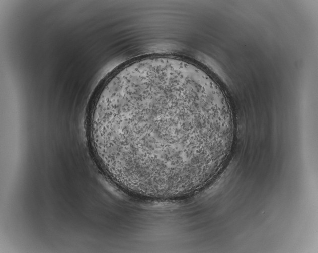 X0000111151026200907141337