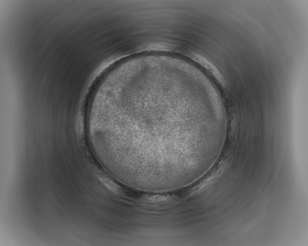 X0000111151027200907141337