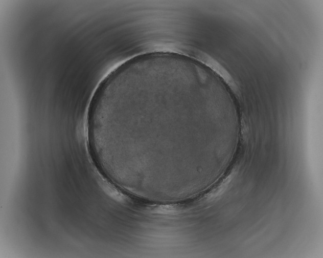 X0000111151028200907141337