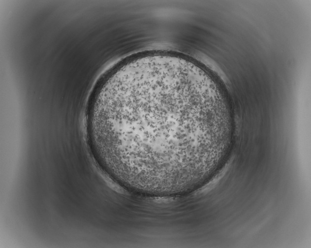 X0000111151029200907141337