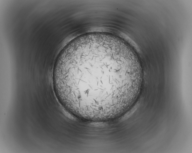 X0000111151033200907141337