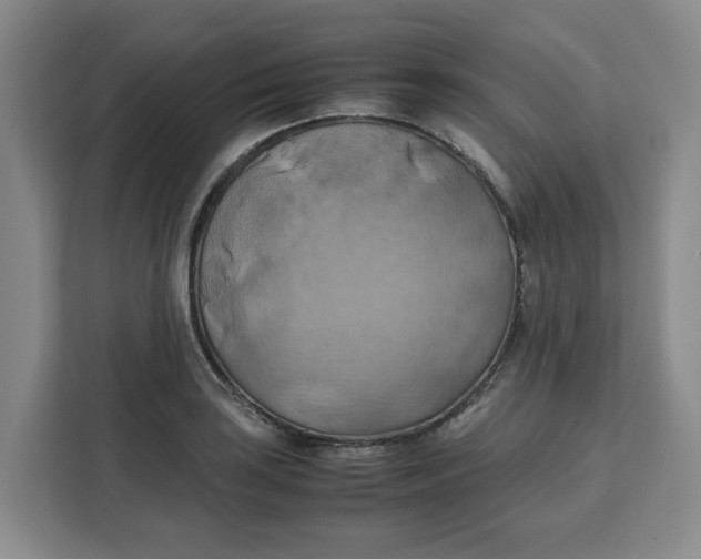 X0000111151035200907141337