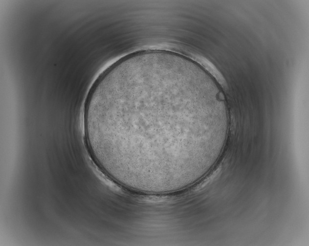 X0000111151036200907141337