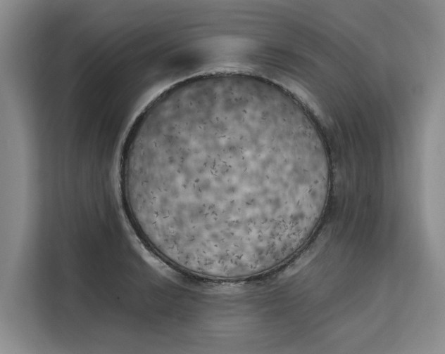 X0000111151038200907141337