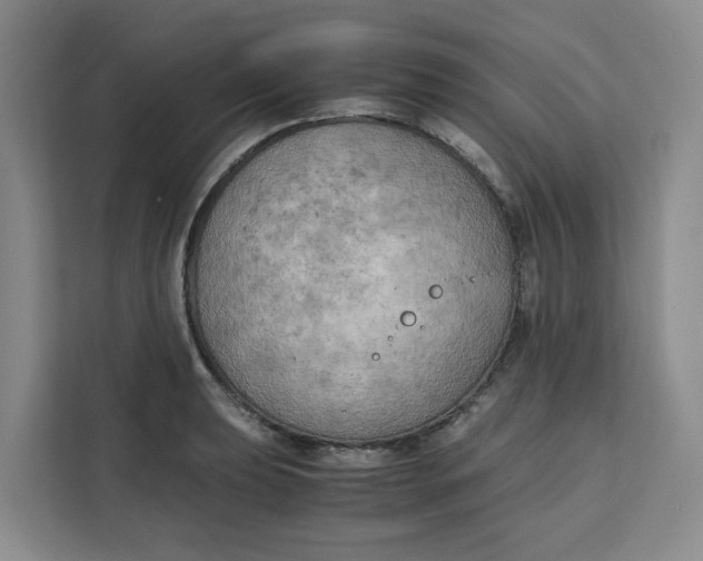 X0000111151039200907141337