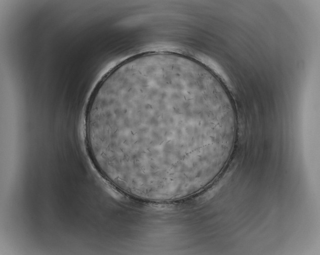 X0000111151040200907141337