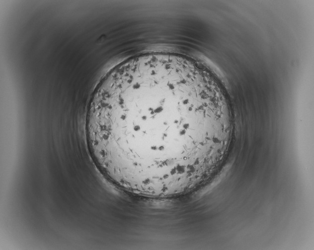 X0000111151041200907141337