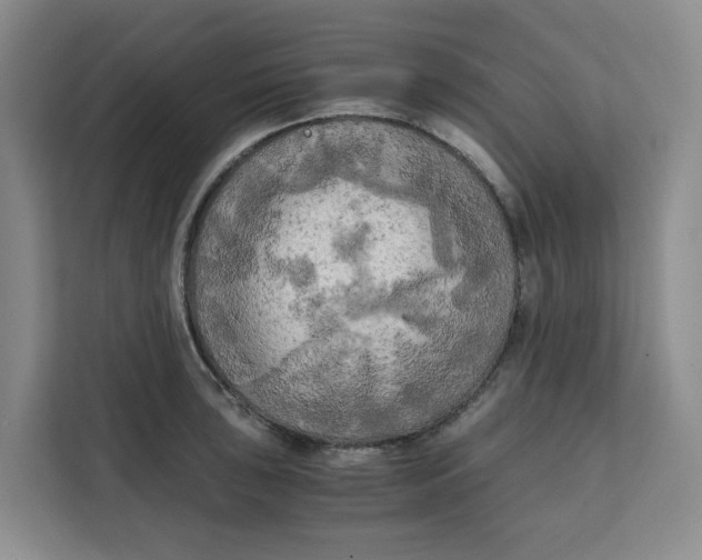 X0000111151043200907141337