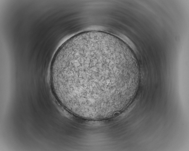 X0000111151044200907141337