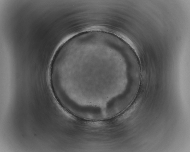 X0000111151045200907141337