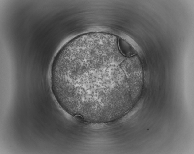 X0000111151046200907141337
