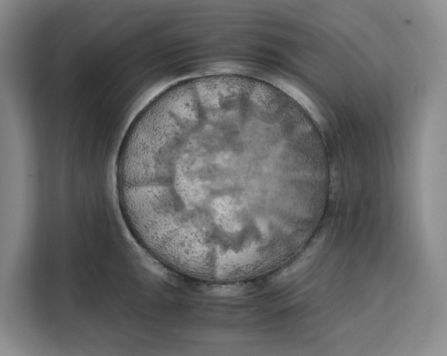 X0000111151047200907141337