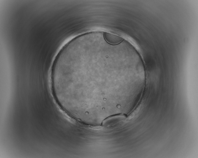 X0000111151048200907141337