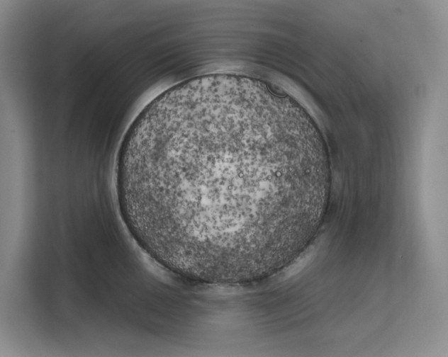 X0000111151050200907141337