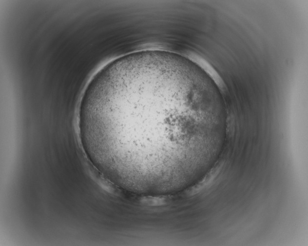 X0000111151051200907141337