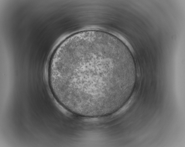 X0000111151054200907141337