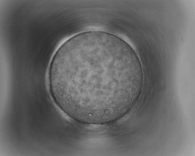 X0000111151056200907141337