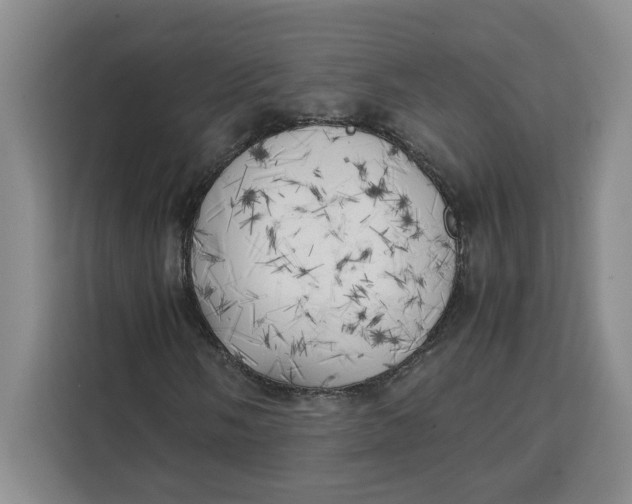 X0000111151058200907141337