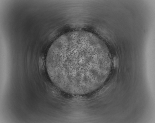 X0000111151059200907141337