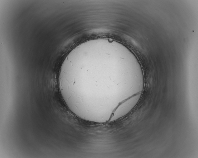 X0000111151062200907141337