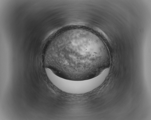X0000111151064200907141337