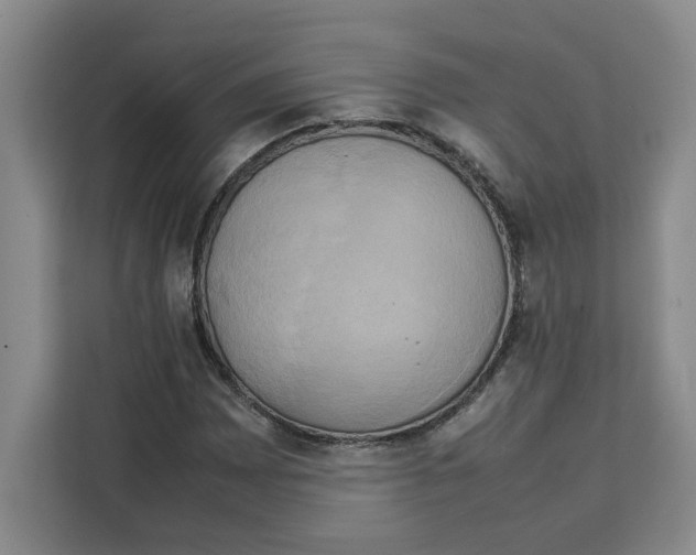 X0000111151065200907141337