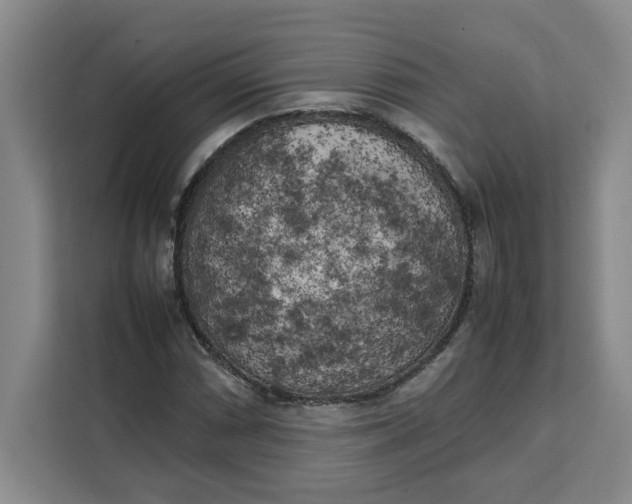 X0000111151066200907141337
