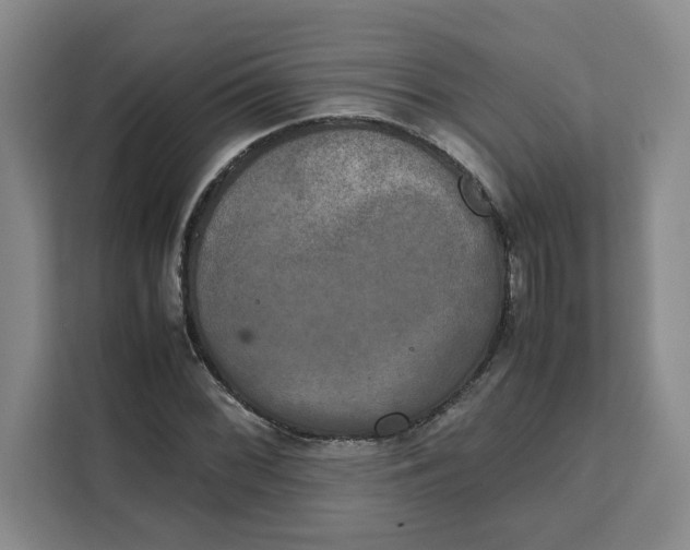 X0000111151068200907141337