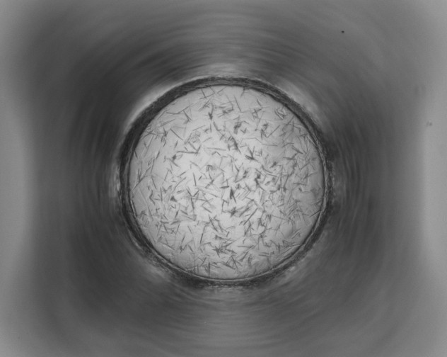 X0000111151070200907141337