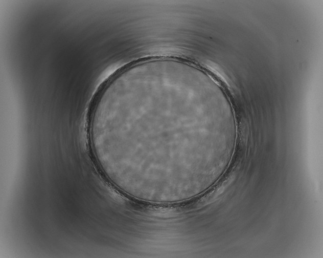 X0000111151071200907141337