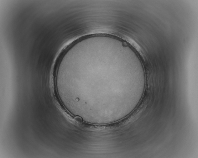 X0000111151072200907141337