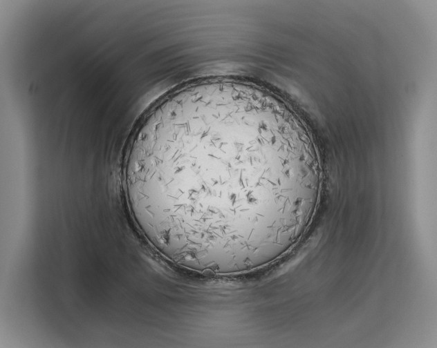 X0000111151073200907141337