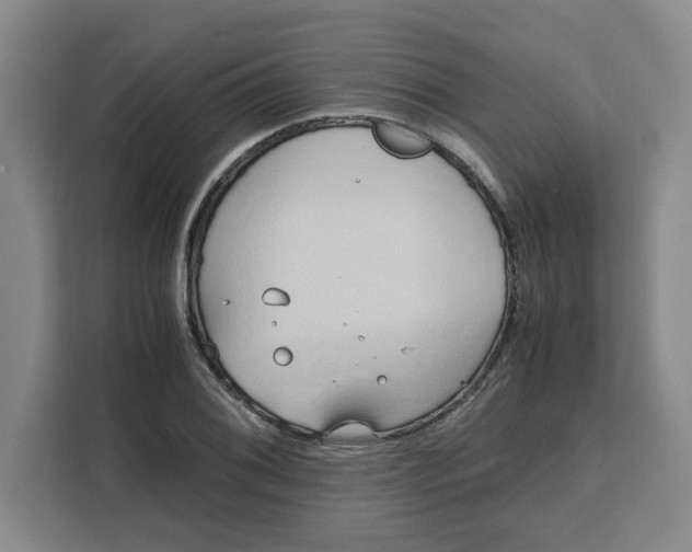 X0000111151076200907141337