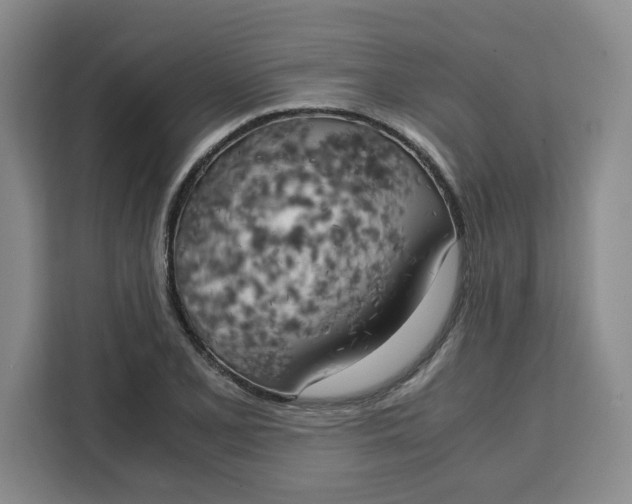 X0000111151077200907141337