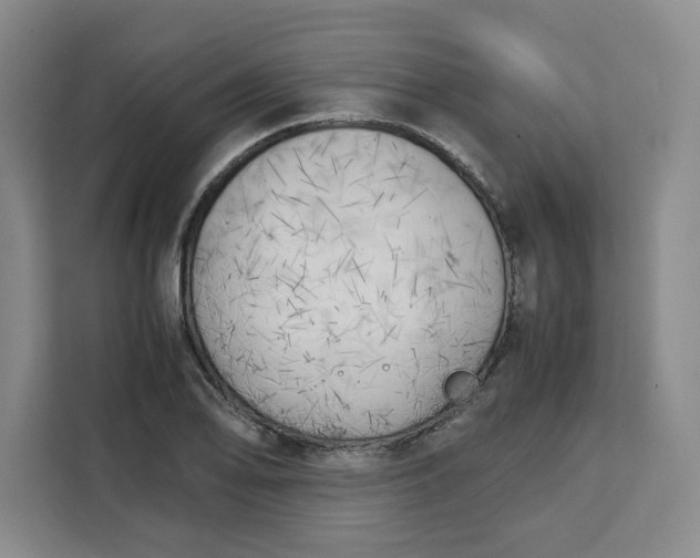 X0000111151078200907141337