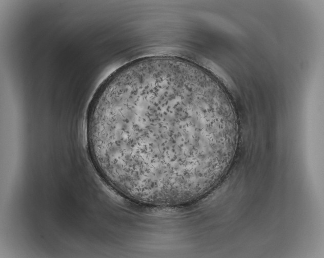 X0000111151079200907141337