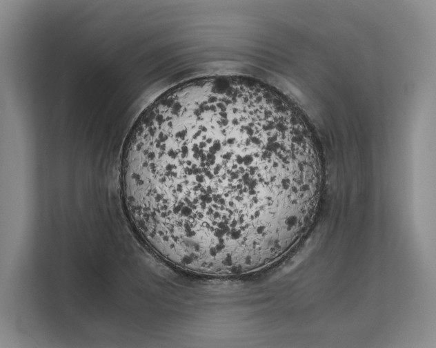 X0000111151081200907141337